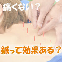 画像1395