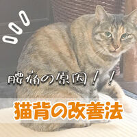 画像1421