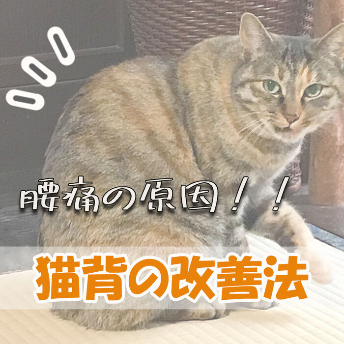 画像1421
