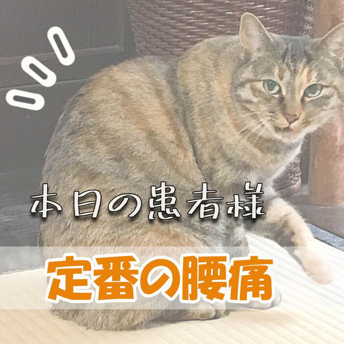 画像1441